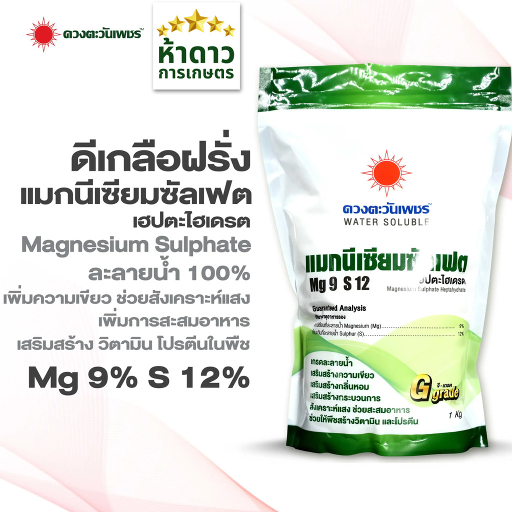 แมกนีเซียมซัลเฟตดวงตะวันเพชร ดีเกลือฝรั่ง แมกนีเซียมเกล็ดละลายน้ำ เร่งใบเขียว ใบแก่ หนามเขียว ละลายง่าย