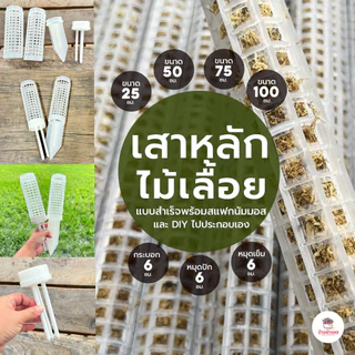 เสาหลักไม้เลื้อย หลักสแฟกนัมมอส สำเร็จรูป และ DIY ไปประกอบเอง หลักไม้ใบ