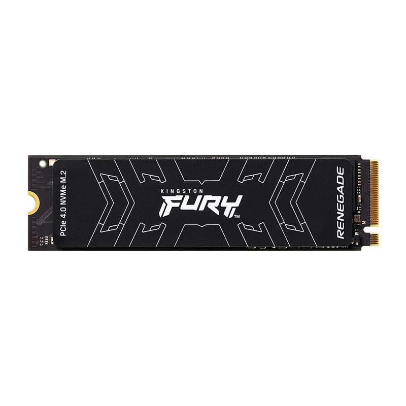 รถบัสวิดีโอเกม 500GB/1TB Kingston SSD Solid State Drive FURY Renegade ps5 Expansion