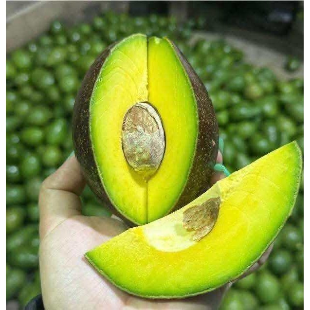 อโวคาโด อาโวคาโดสด 1 กิโลกรัมสดจากสวน พันธ์ุ034  บาเยือง พื้นเมือง บูส7
