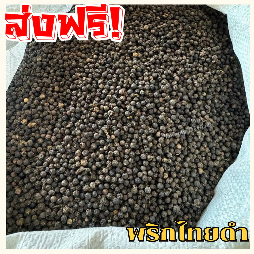 ส่งฟรี!! พริกไทยเม็ดดำ 1กิโลกรัม พริกไทย พริกไทยดำ เครื่องเทศ พริกไทยขาว black pepper พริกไทยดำเม็ด เครื่องเทศ พริกไทย