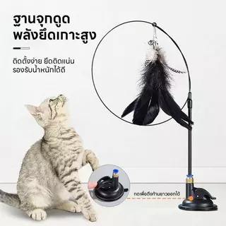 【PetZap】ไม้ล่อแมวติดกระจก ของเล่นแมวแก้เบื่อ ฐานดูดสูญญากาศ ด้ามยาว แมวเล่นสนุก COD CW-035