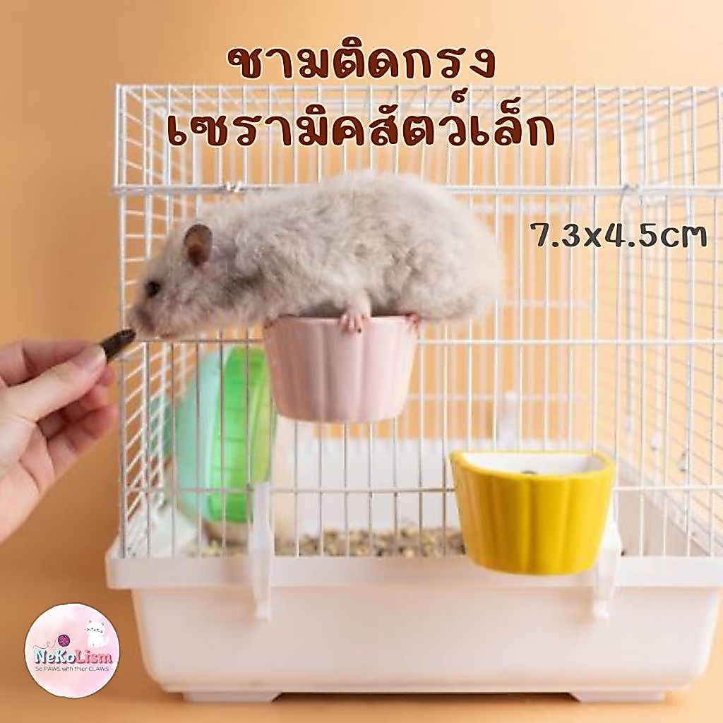 ชามเซรามิคติดกรงแฮมเตอร์ สัตว์เล็ก ติดกรงด้วยสกรู กระต่าย สัตว์ฟันแทะ กระรอก ให้อาหารกระต่าย หนู Bowl Small Pet