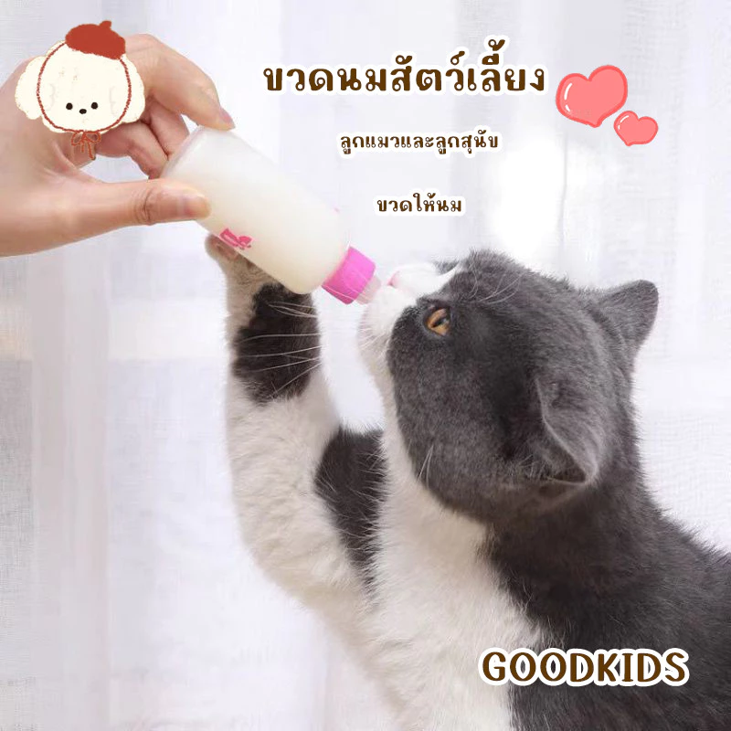 🍼 ขวดนมสำหรับสัตว์เลี้ยง ใช้ได้ทั้งลูกแมวและลูกสุนัข พร้อมจุกนมซิลิโคนอ่อน 🐱🐶