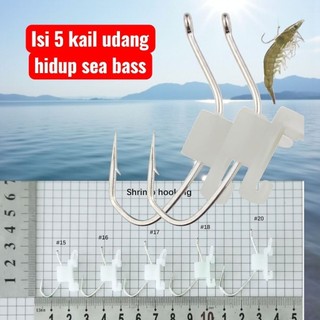 mata Kail pancing umpan udang hidup isi 5 MOCELLESS sea bass KANAMA Glow in the Dark