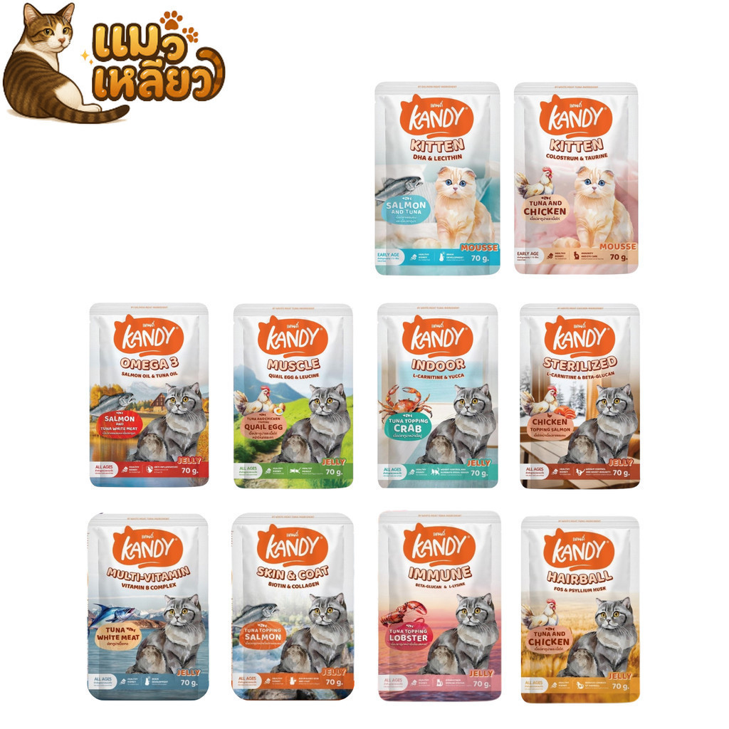 (ยกโหล 12 ซอง) Kandy แคนดี้ อาหารแมว เปียกแมว ไม่ใส่เกลือ จากปลาเนื้อขาว โปรตีนสูง ลูกแมวและแมวโต