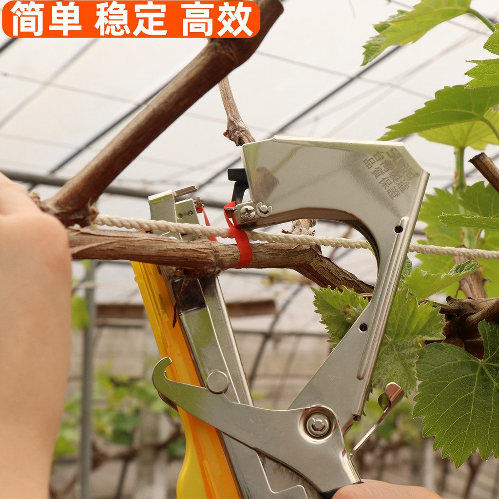 ไต้หวัน SONO End Machine NJ99 Grape Binding Machine Tomato Binding Machine Cucumber Binding Machine 