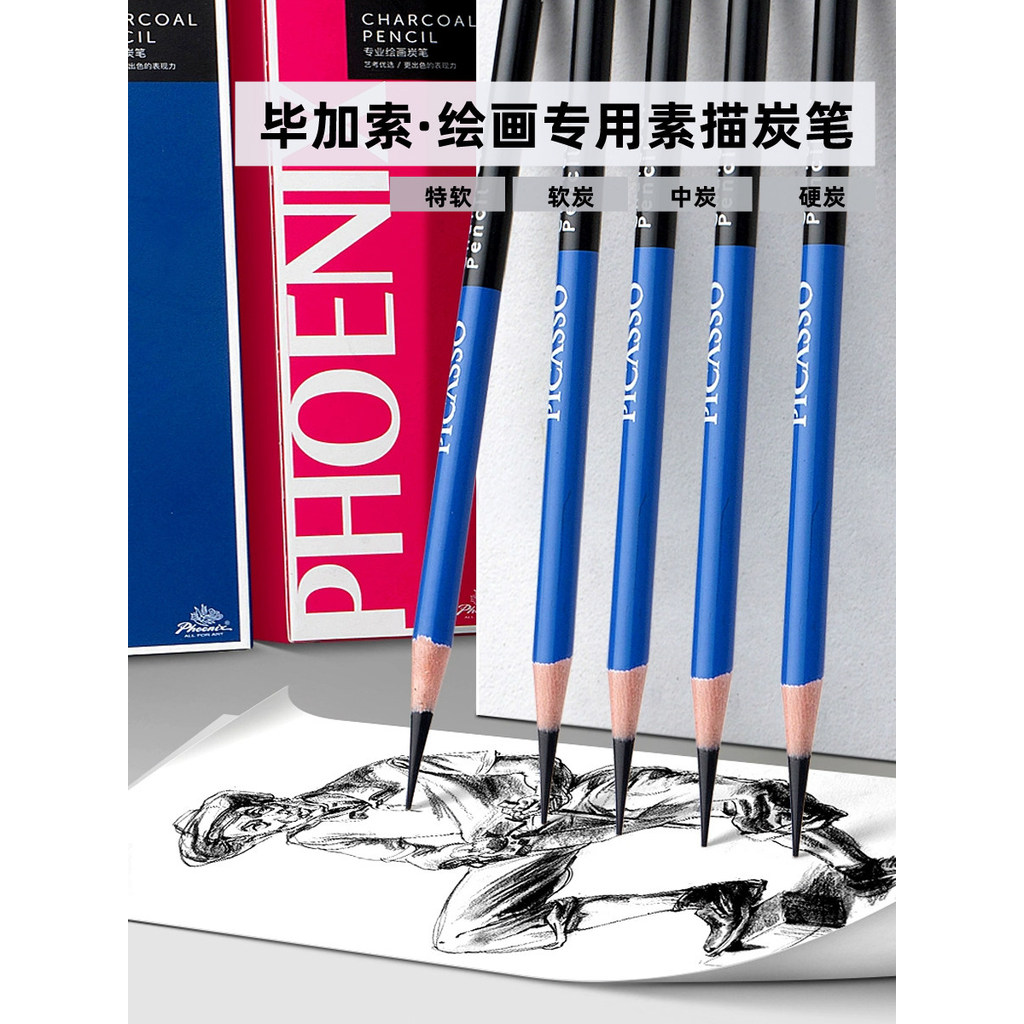 Phoenix Picasso Sketch Professional Charcoal Pen Painting Special Charcoal Pencil Art Student Sketch