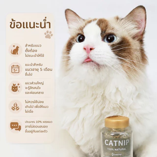 FOR_PET กัญชาแมว ผงแคทนิป 100ml แถมช้อนตัก หญ้าแมวกินได้ ช่วยขับก้อนขน ลดกลิ่นปาก ผ่อนคลาย สำหรับลูกแมว Catnip Powder