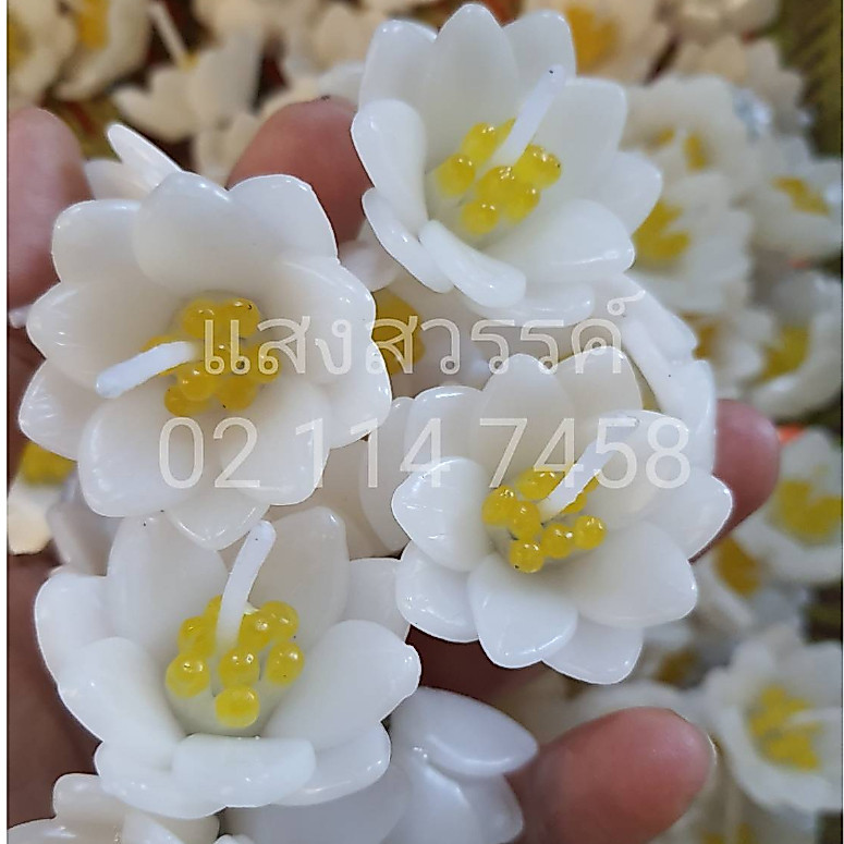 เทียนหอมประจำวันเกิด บูชาพระ ดอกบัวในทีไลท์ แพ๊คถุงใส Set 9 pcs # 0 0 6 6 5