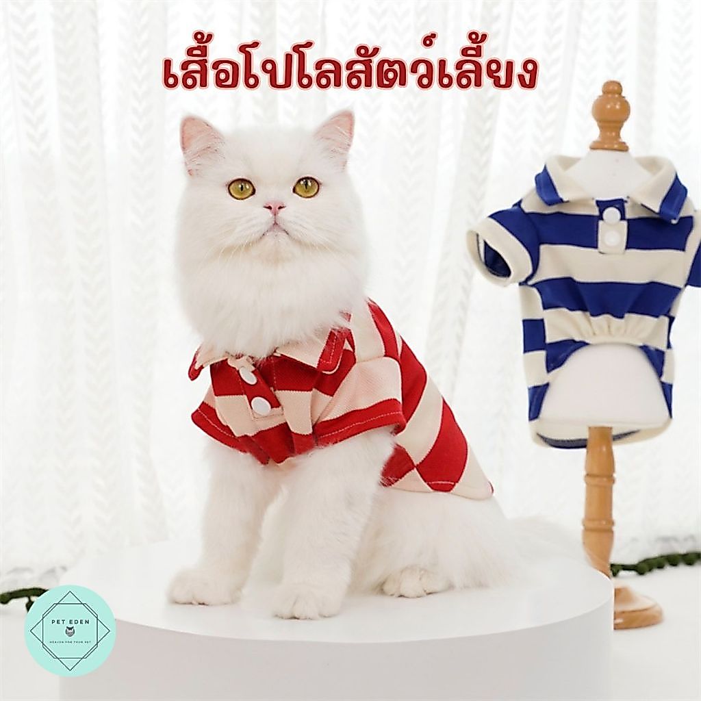 เสื้อโปโลสัตว์เลี้ยง เสื้อหมา ชุดแมว Polo Pet Shirt สุนัข