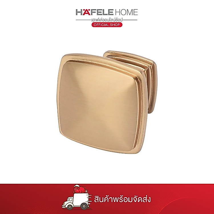 HAFELE ซิงค์อัลลอยด์ สีแชมเปญโกลด์ 31x25.4 มม.