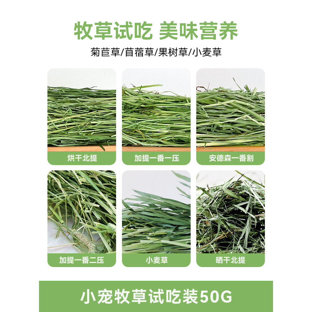 25 ปีทดลองหญ้า Chicory Timothy Grass North Tim South Tim Australian Wheat Plus Tim Alfalfa Fruit Tre