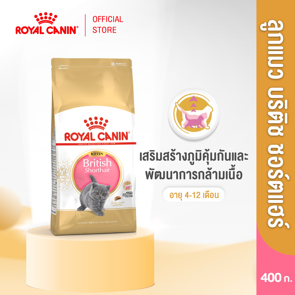 Royal Canin Kitten British Shorthair 400g อาหารเม็ดลูกแมวพันธุ์บริติช ชอร์ทแฮร์ อายุ4-12เดือน(Dry Cat Food, โรยัล คานิน)