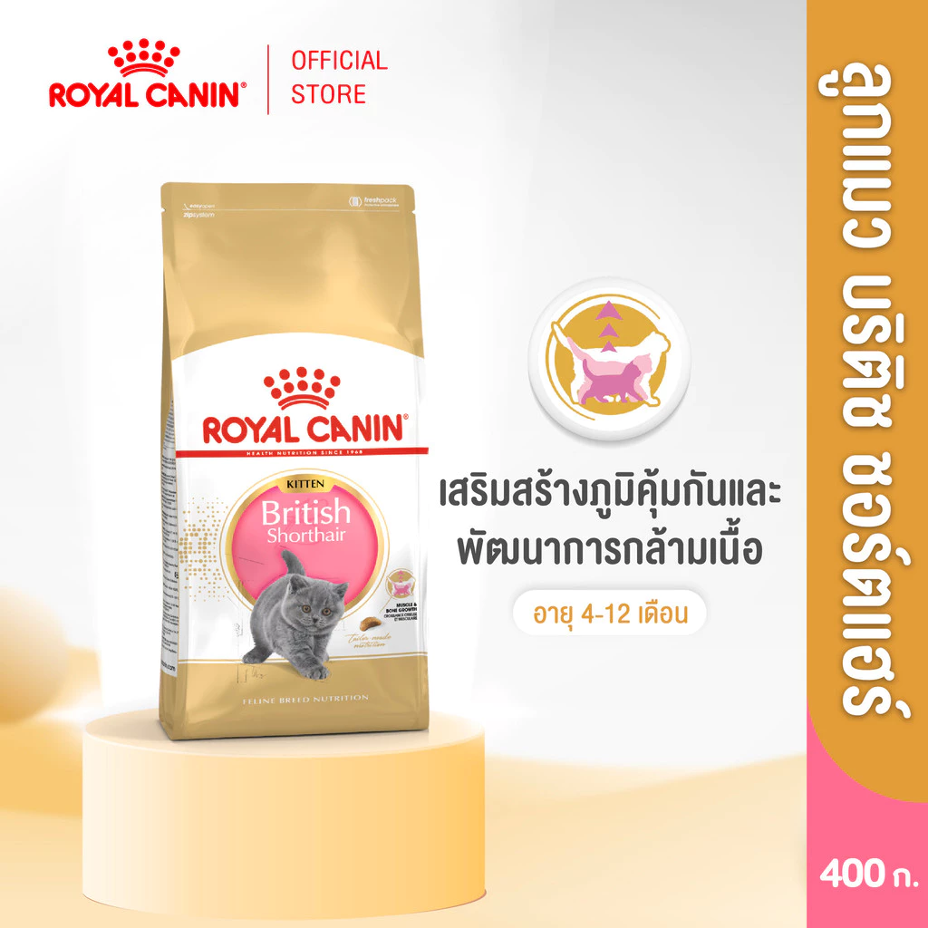 Royal Canin Kitten British Shorthair 400g อาหารเม็ดลูกแมวพันธุ์บริติช ชอร์ทแฮร์ อายุ4-12เดือน(Dry Cat Food, โรยัล คานิน)
