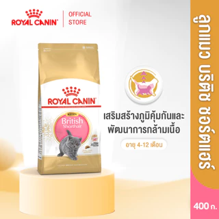 Royal Canin Kitten British Shorthair 400g อาหารเม็ดลูกแมวพันธุ์บริติช ชอร์ทแฮร์ อายุ4-12เดือน(Dry Cat Food, โรยัล คานิน)