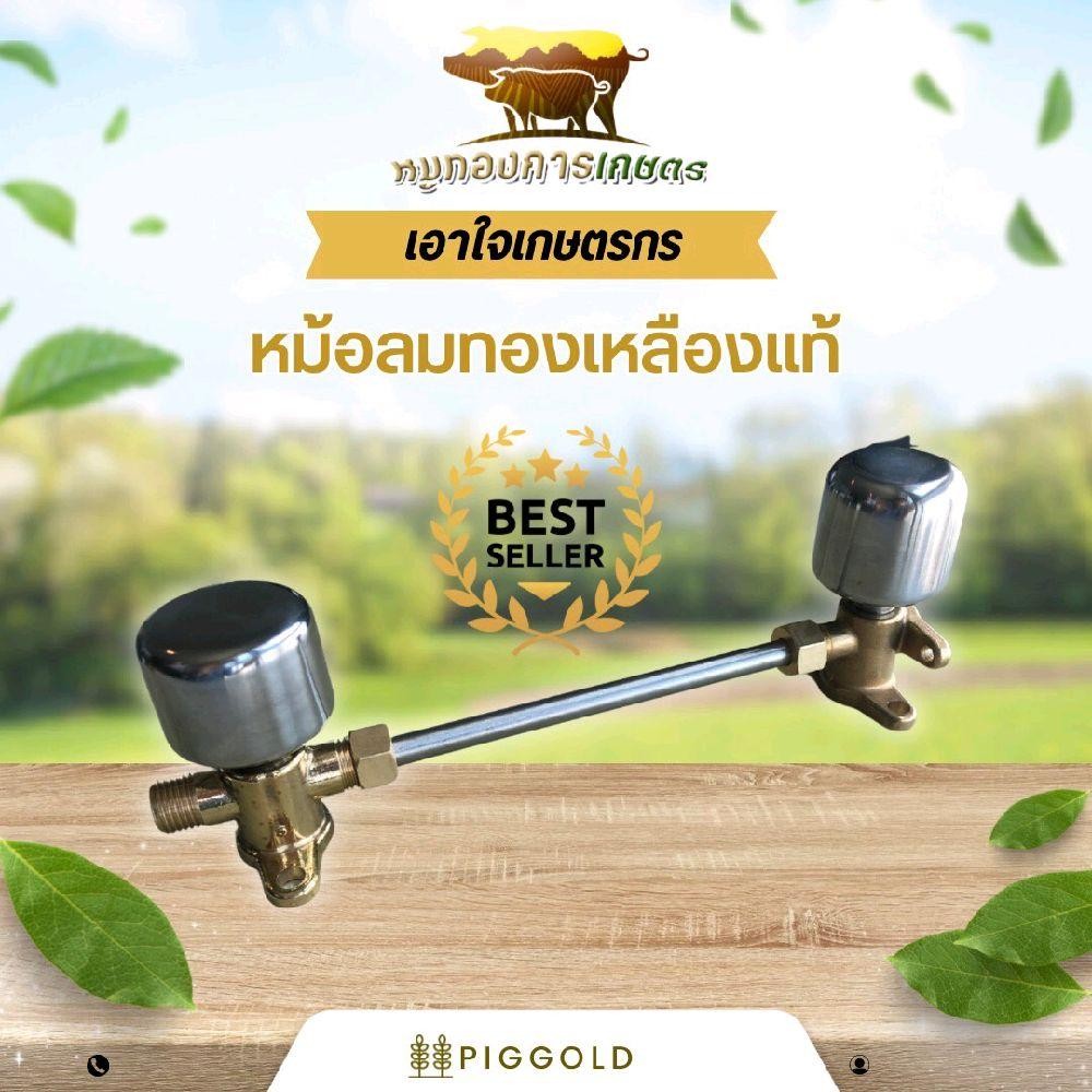 หม้อลมเพิ่มความแรง เพิ่มแรงดัน เครื่องพ่นยา767 รุ่นทองเหลืองแท้ สำหรับเครื่องยนต์767