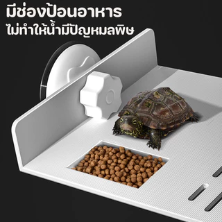 COD ระเบียงของเต่า อาบแดด ทำให้เต่ามีสุขภาพดีขึ้น มีช่องป้อนอาหาร ทำให้เต่าผ่อนคลาย แสงแดด