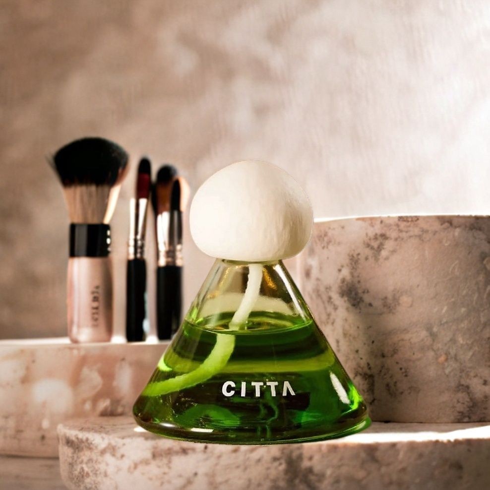 Spot Goods#CITTA Western Moss Ornament Aromatherapy Vanilin Cedarwood Olfactory Trio Lemon Rose Diff