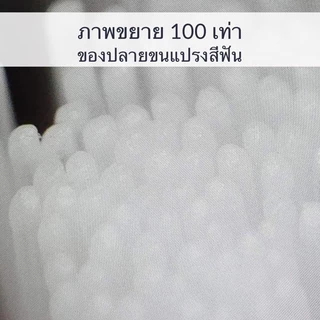 Mall Molar bear แปรงสีฟันเด็ก ชุดจัดเซต ฟันซี่แรกใช้ โมล่าร์แบร์