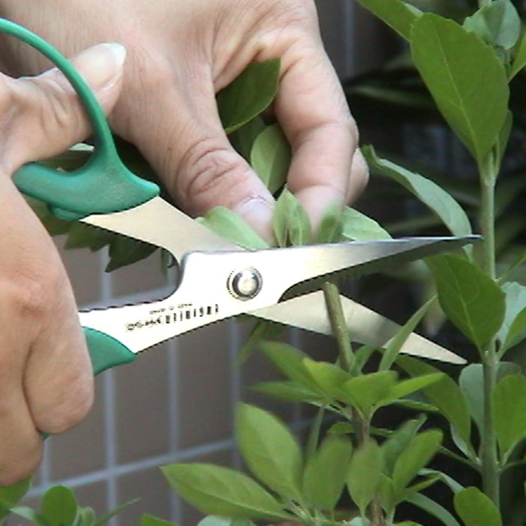 ENGINEER Heavy-Duty Scissors with Varying Blade Lengths and Colors ราคา ถูกที่สุด ดีลบีเคเค แกลเลอรีภาพที่ 6