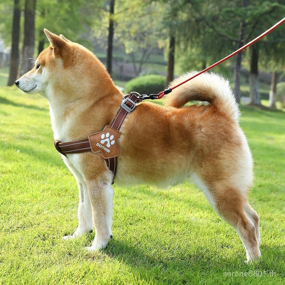 สุนัข Anti-rush Leash สัตว์เลี้ยงขนาดเล็กขนาดกลางสายสุนัขขนาดใหญ่ปรับ Shiba Inu Corgi สุนัขเดินเชือก