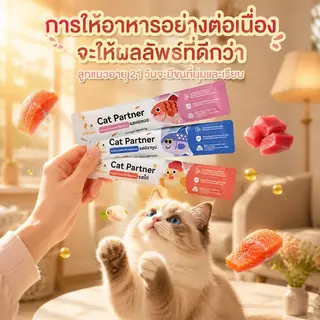 Ketzuzu 100 ซอง ขนมแมวเลีย แมวชอบกินมาก อร่อยทุกคำ ขนมแมว 16g รสรวม 5 รส อาหารเปียกแมว