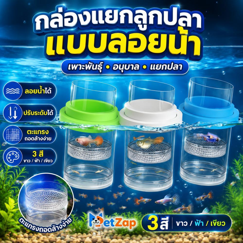 【PetZap】พร้อมส่ง COD กล่องแยกปลาหางนกยูง กล่องแยกปลา กล่องเพาะพันธุ์ปลา ลอยน้ำ ไซส์ใหญ่ CW-011
