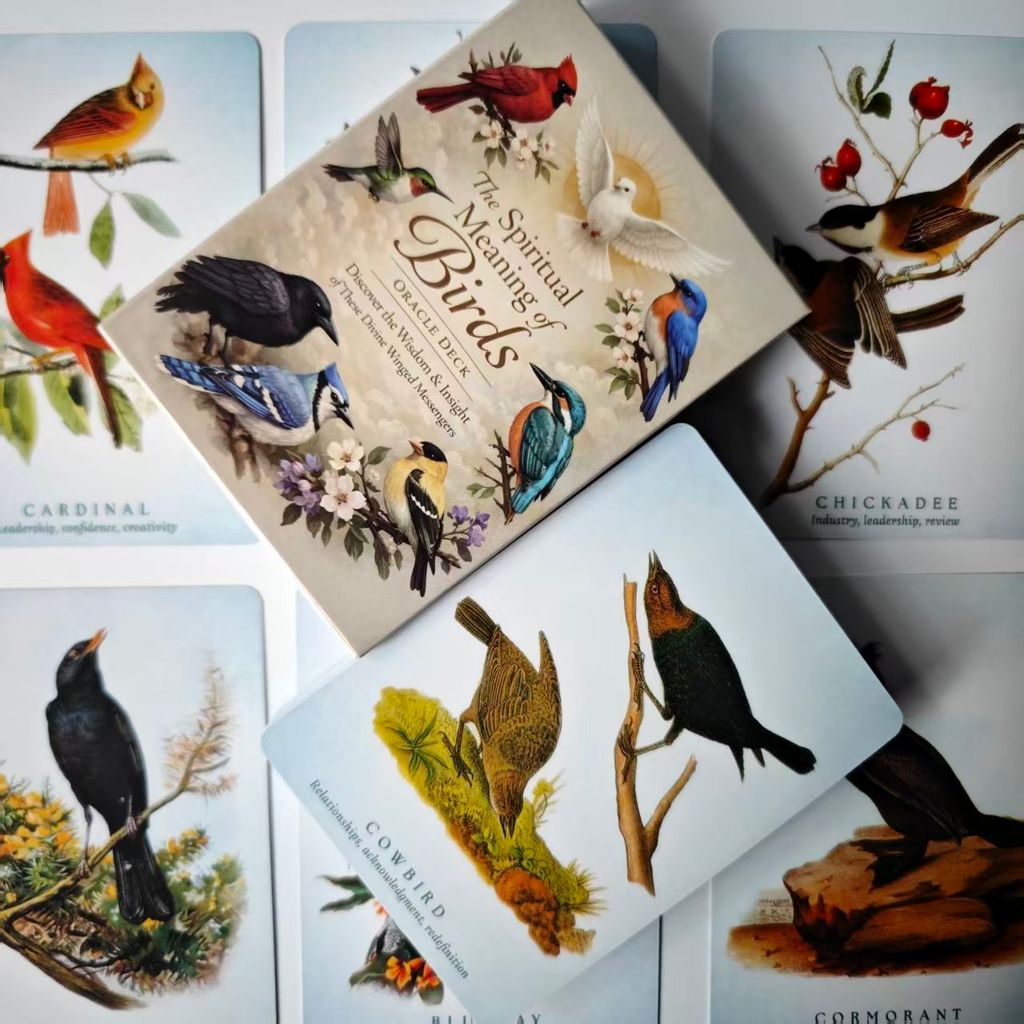 The Spiritual Meaning of Birds Oracle Deck, การ์ดบอกโชคธรรมชาติ 50 ชิ้นสําหรับ Insight & Wisdom 10.5