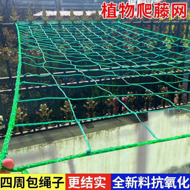 สนับสนุนสุทธิรายเดือนกรอบปลูกสุทธิเถารังบวบปีนเขาเถาสุทธิการจัดสวนดอกไม้มะระพืชแตงผลไม้สุทธิ OBDO