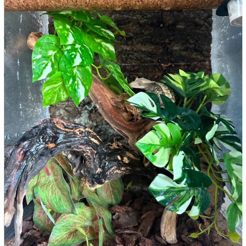 จลองพืชบอนไซ ต้นไม้ปลอมบอนไซสําหรับ ต้นบอนไซจำลอง กระถางต้นไม้จำลอง ต้นไม้ประดิษฐ์กระถางเล็ก สำหรับแต่งบ้านออฟฟิศ - รูปที่ 7