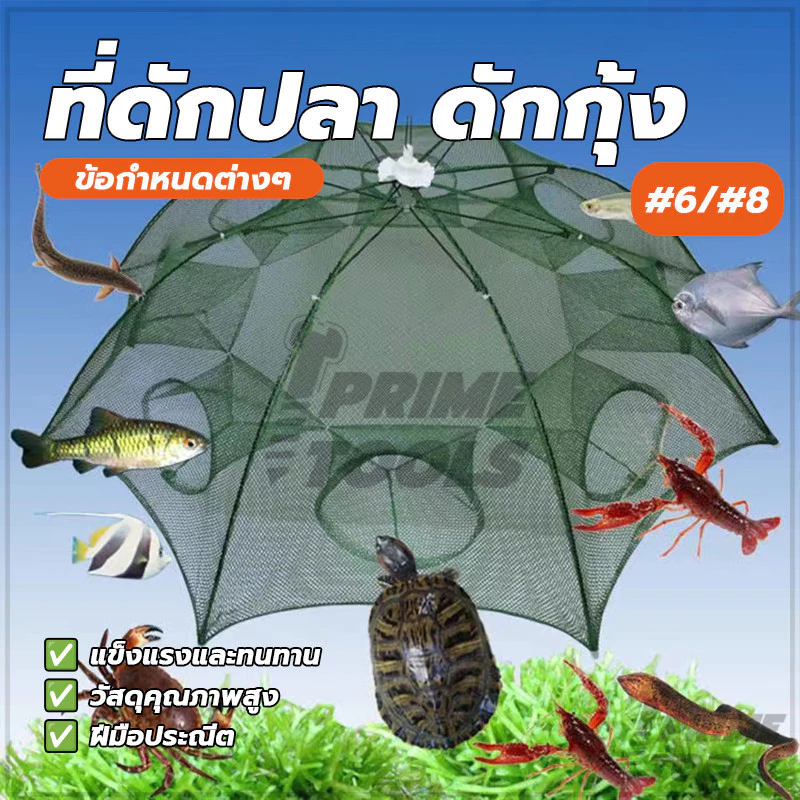 ที่ดักปลา ดักกุ้ง แบบ 6 ช่อง และ 8 ช่อง ตาข่ายพกพาสะดวก แข็งแรง และทนทาน เหมาะสำหรับการตกปลาเพื่อความบันเทิง thumbnail 5