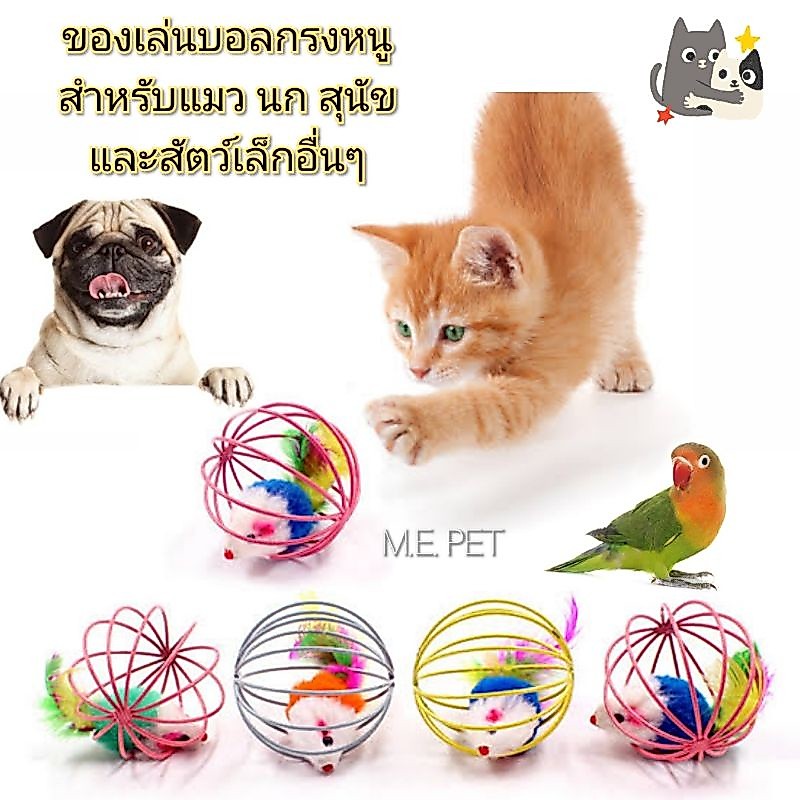 บอลกรงหนู ของเล่นสำหรับนก แมว สุนัข