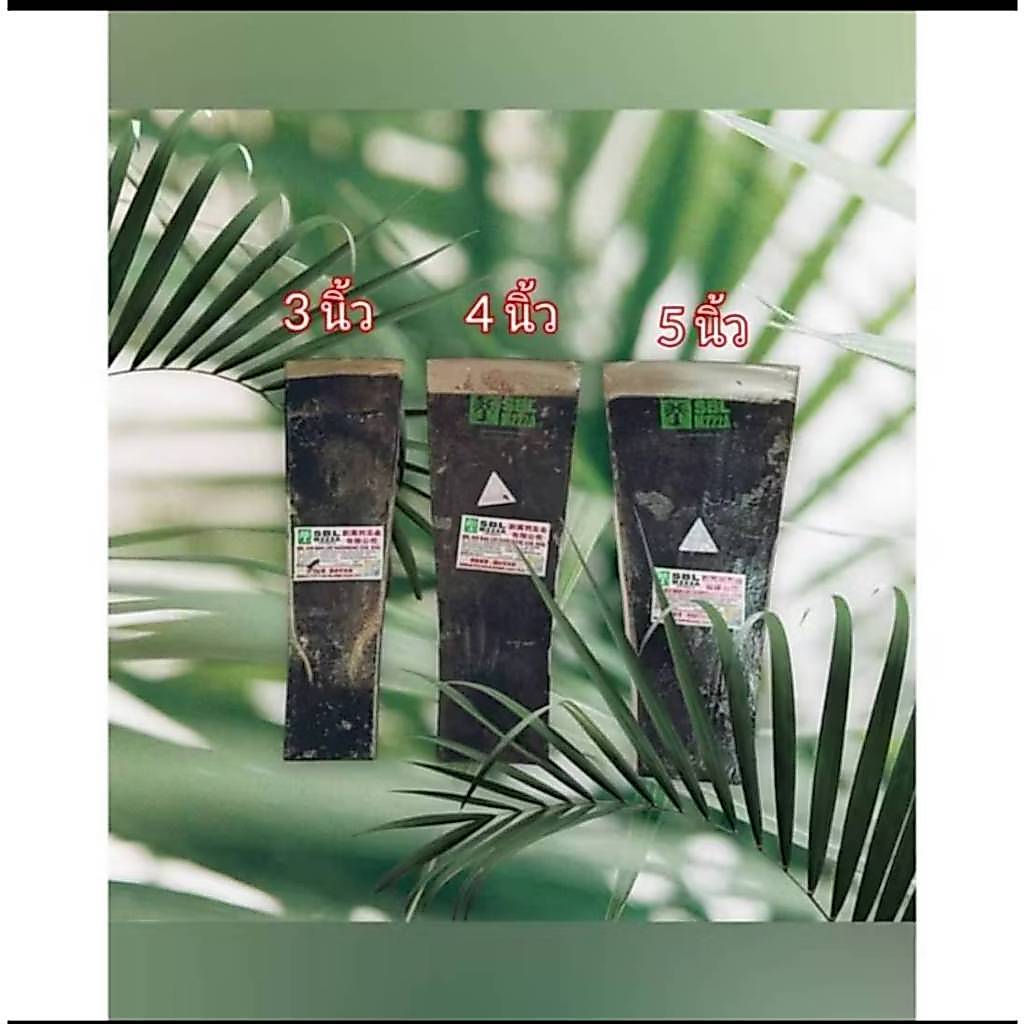 เสียมแทงปาล์มมาเลย์ ตาเสียม เสียมตัดปาล์ม เหล็กแหนบอย่างดี SBLM222A สินค้าแท้ ขนาด 3-4-5 นิ้ว