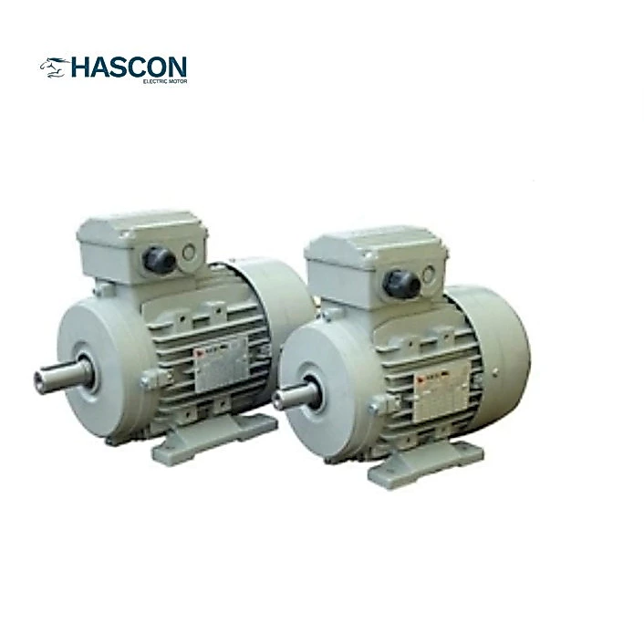 มอเตอร์HASCON 2.2kW 4P B3 M 100L 380V มอเตอร์ 3แรงม้า 1440 รอบ แบบขาตั้ง ไฟ 3สาย 380V เพลา 28 มิล