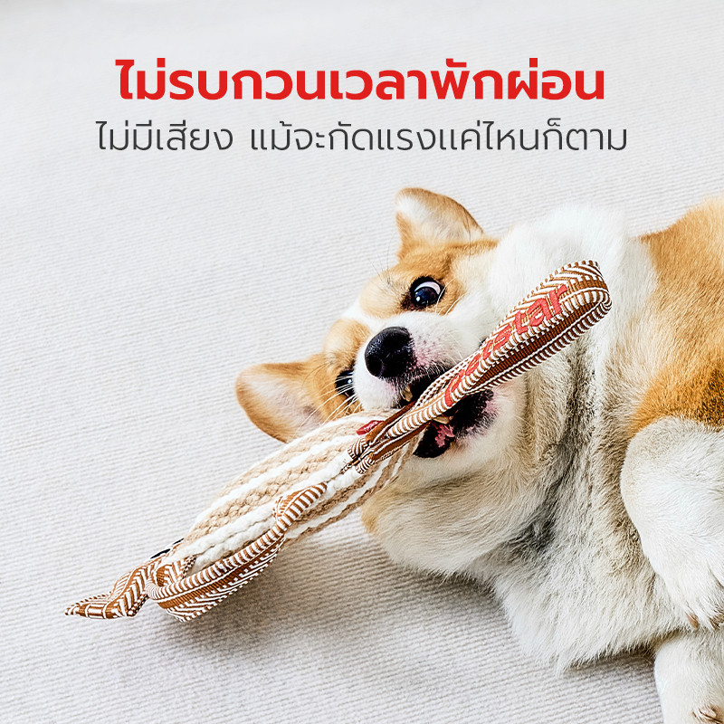 Petstar حبل عض للكلاب لتنظيف الأسنان — صورة 5