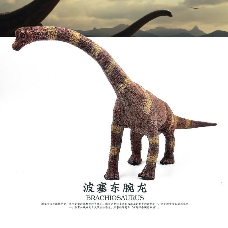 Poseidon Brachiosaurus รุ่นของเล่นไดโนเสาร์ Jurassic จําลองสัตว์เด็กความรู้ความเข้าใจ Boy ภาพยนตร์สไ