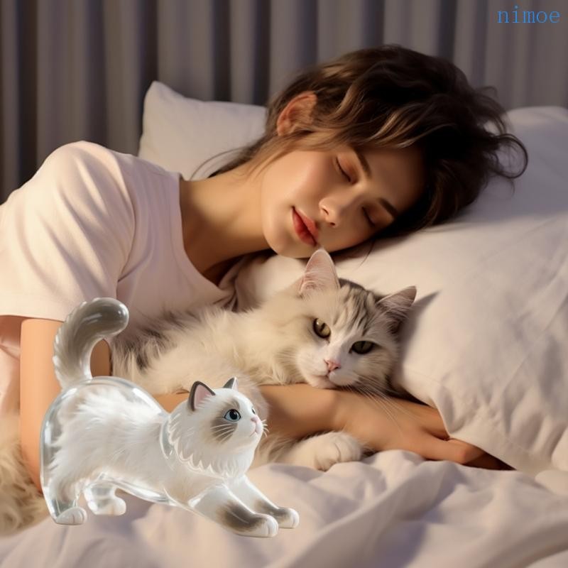 Nio Elegant Pet Hair Memory Case Home Decors Art Cats Furs Collection Box