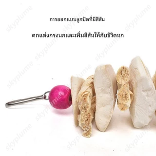ของเล่นหัดกัดแทะสำหรับนกแก้วกระดองปลาหมึกเสริมแคลเซียมและมีกิ่งไม้แอปเปิ้ล