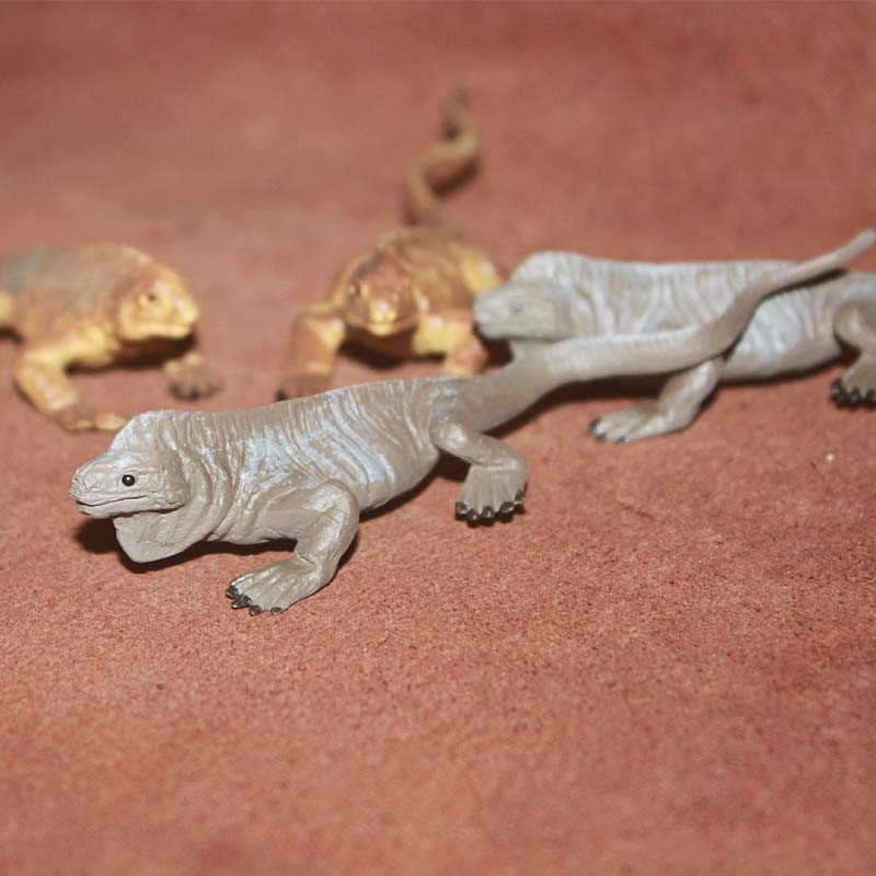 Safari ของแท้สินค้าจํานวนมากจําลองสัตว์เลื้อยคลานรุ่นของเล่นฉากพลาสติกตกแต่ง Sea Iguana Land Iguana