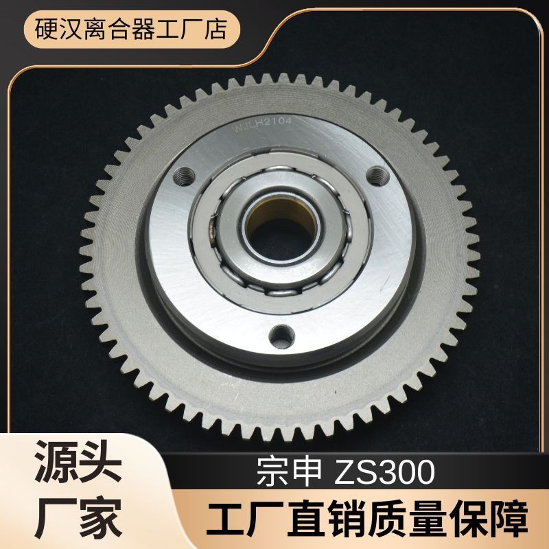 เหมาะสําหรับ ZS300 ZS300 CBS300 รถจักรยานยนต์ 16 ลูกปัด Beyond คลัทช์ Starter Disc Assembly