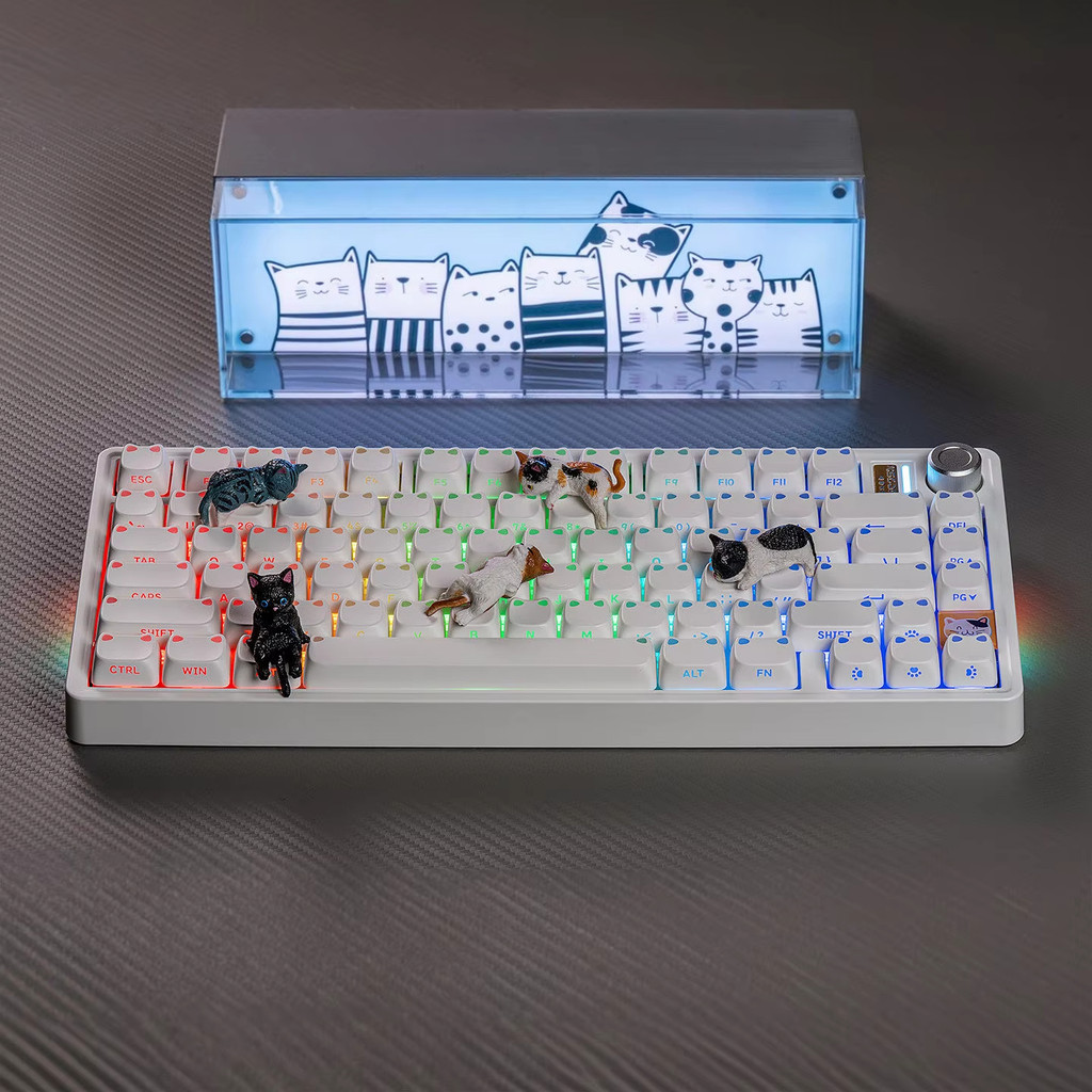 Thumbnail 8