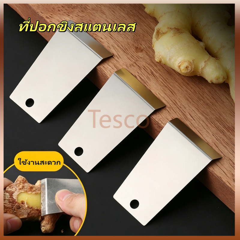 Tesco ที่ปอกขิงสแตนเลส ที่ปอกกระเทียมในครัว มีดปลอกผลไม้ ที่ปอกเปลือกผลไม้ อุปกรณ์ในครัว ใช้งานสะดวก