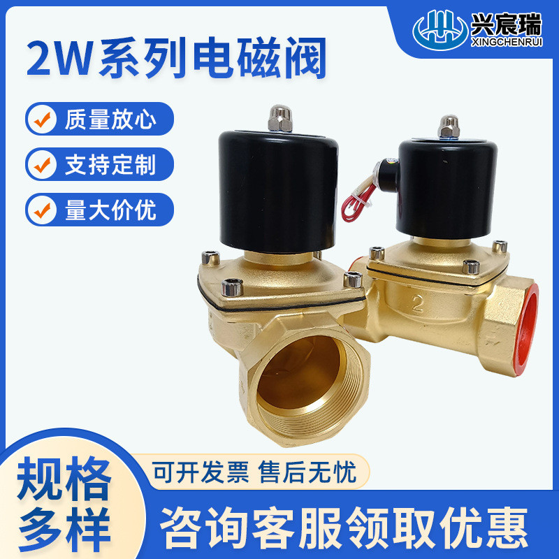 วาล์วไฟฟ้าทองเหลืองสองผ่าน 2W160-15 2W200-20 2W250-25 2W350-35 วาล์วน้ํา