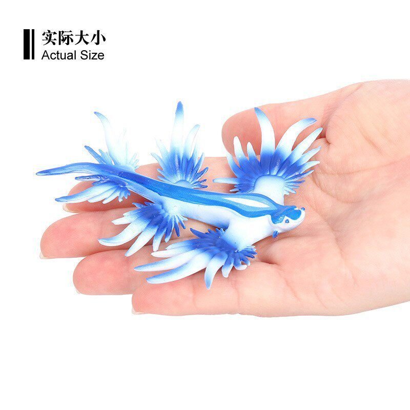 Blue Dragon Sea Slug รุ่น Atlantic Sea God จําลองสัตว์ทะเล Sea Kirin กระต่ายทะเลของเล่นตกแต่ง DFLU