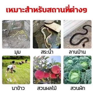 🐍ขับไล่งู ยาวนาน ไม่กลัวฝน🐍ยาป้องกันงู ยาไล่งู ไล่งู ก้อนไล่งู 1 ถุง 10 เม็ด จากงูและแมลง ใช้วางป้องกันไม่ให้งูเข้าใกล้