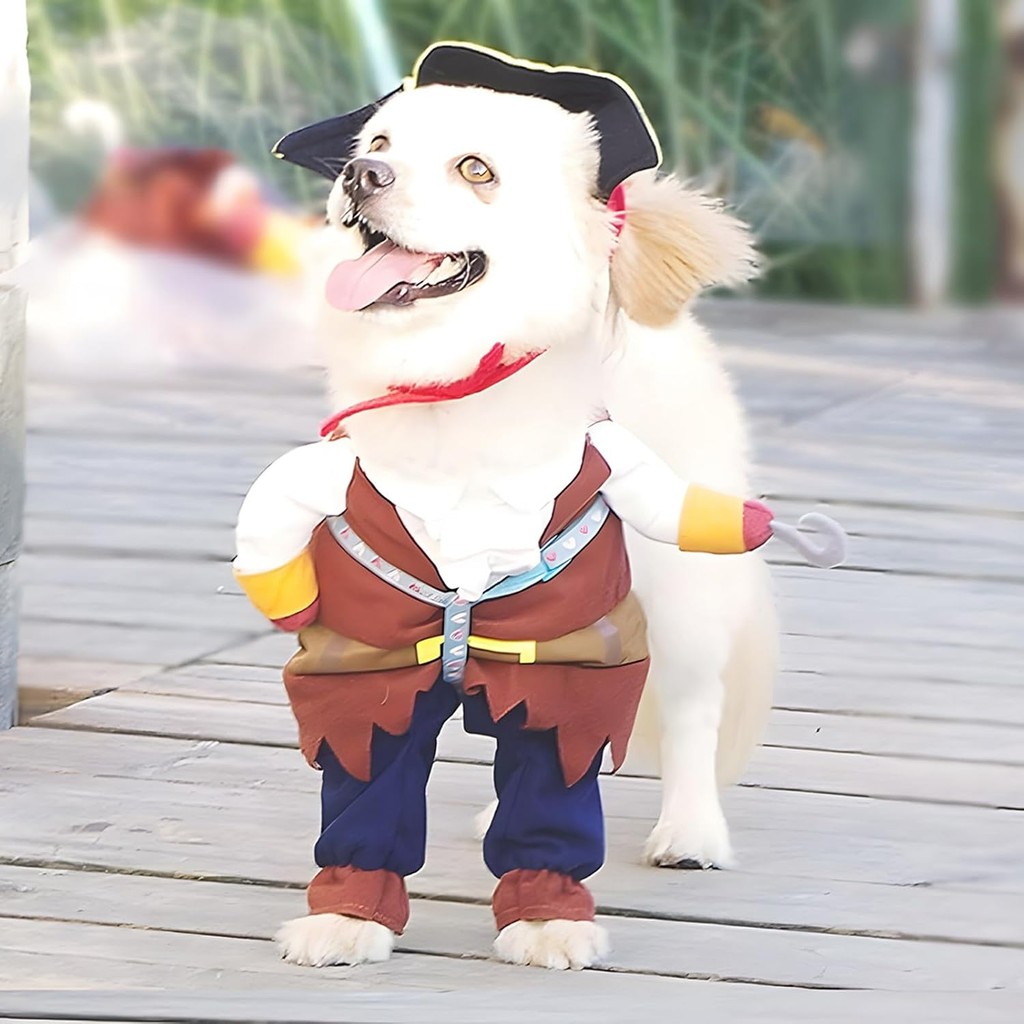 NACO Pet Dog Costume Pirates of The Caribbean Style (Medium) FWH3