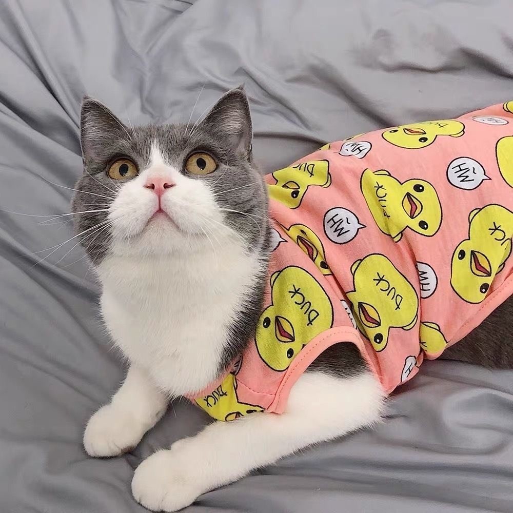 น่ารักเสื้อผ้าสุนัขนุ่มลูกสุนัขชุดนอนชุดเสื้อผ้าสัตว์เลี้ยงสําหรับสุนัขขนาดเล็กเสื้อยืดฤดูใบไม้ผลิฤดูร้อน ยอร์คกี้ ชิวาวาเสื้อผ้ - รูปที่ 6