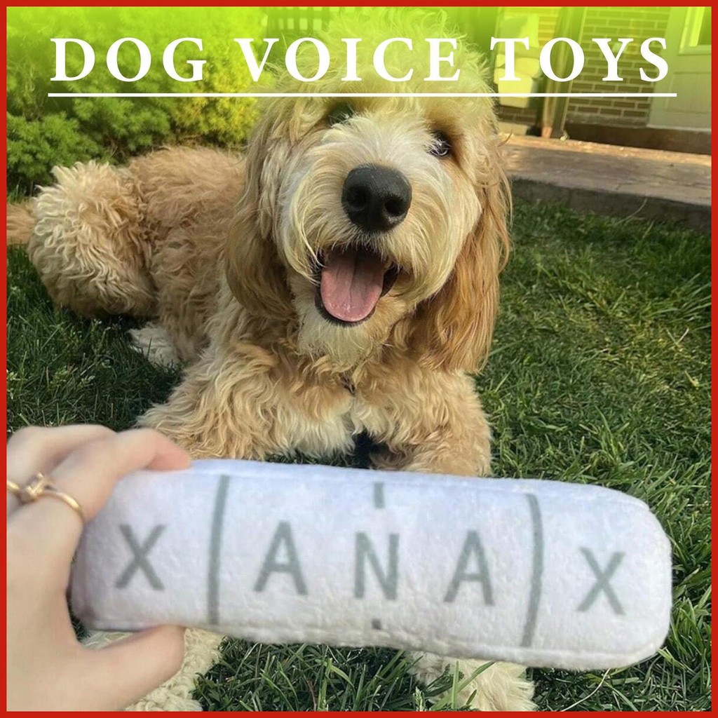 Squeaky ของเล่นสําหรับสุนัขขนาดเล็กตุ๊กตาสุนัข Chew ของเล่นการออกกําลังกายเกมสําหรับ Backyard Park C