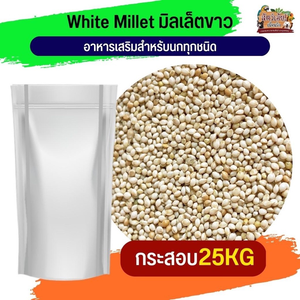 White millet มิลเล็ตขาว อาหารเสริมสำหรับนกทุกสายพันธุ์ 25KG.